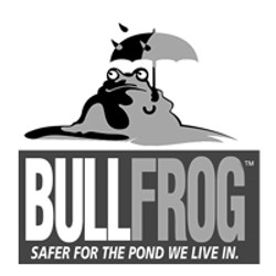 Bull Frog